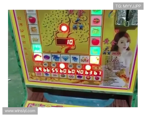 不同类型老虎机数值设置对游戏体验和中奖概率的影响