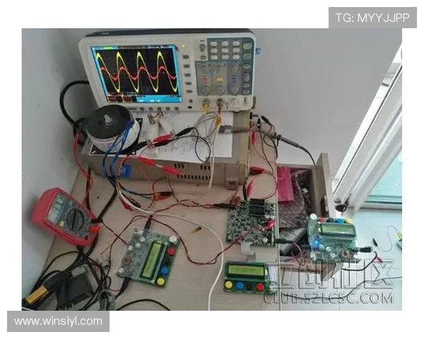 PP电子模拟器的性能评估与常见问题解决方案详解电子模拟器使用技巧
