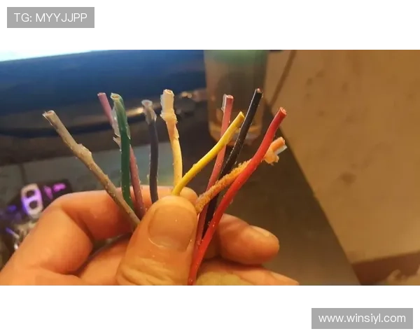 掌握老虎机线路图接法技巧,优化线路布局提升中奖几率 掌握老虎机线路图接法技巧,优化线路布局提升中奖几率