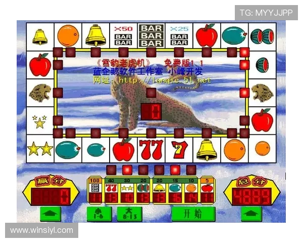 水果老虎机手机官网支持多种支付方式，保障玩家资金安全与便捷