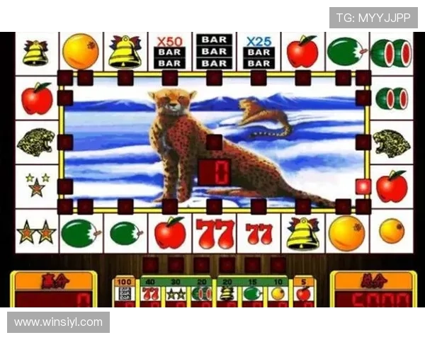 最新老虎机手机版会员登录指南帮助玩家快速进入游戏