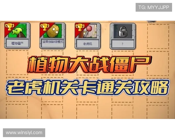 玩老虎机的技巧和方法：如何选择高概率中奖的游戏机和时机