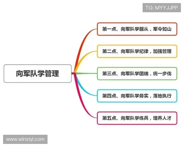 新豪官网游戏角色设定与技能系统深度解析助你打造最强战队
